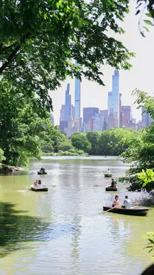 People in pedal boats on a lake in a city park.