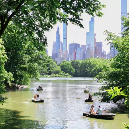 People in pedal boats on a lake in a city park.