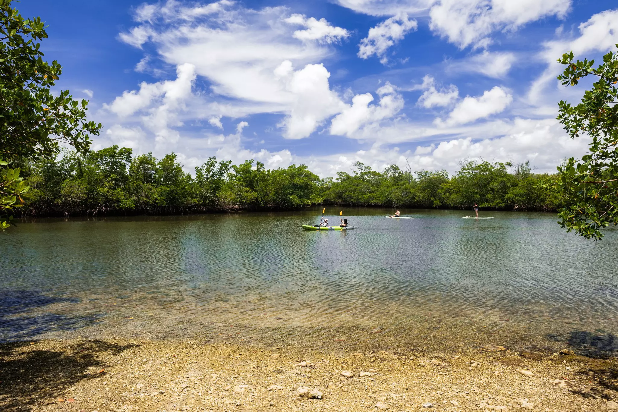 Miami, FL USA - June 25, 2018: Scenic view of visitors enjoying the kayaks and paddle boards at the popular Oleta River State Park in North Miami Beach located along the bay., License Type: media, Download Time: 2025-07-21T19:13:30.000Z, User: rhylton_redventures, Editorial: true, purchase_order: 65050 - Digital Destinations and Articles, job: Lonely Planet, client: app downloads, other: Rhianydd Hylton