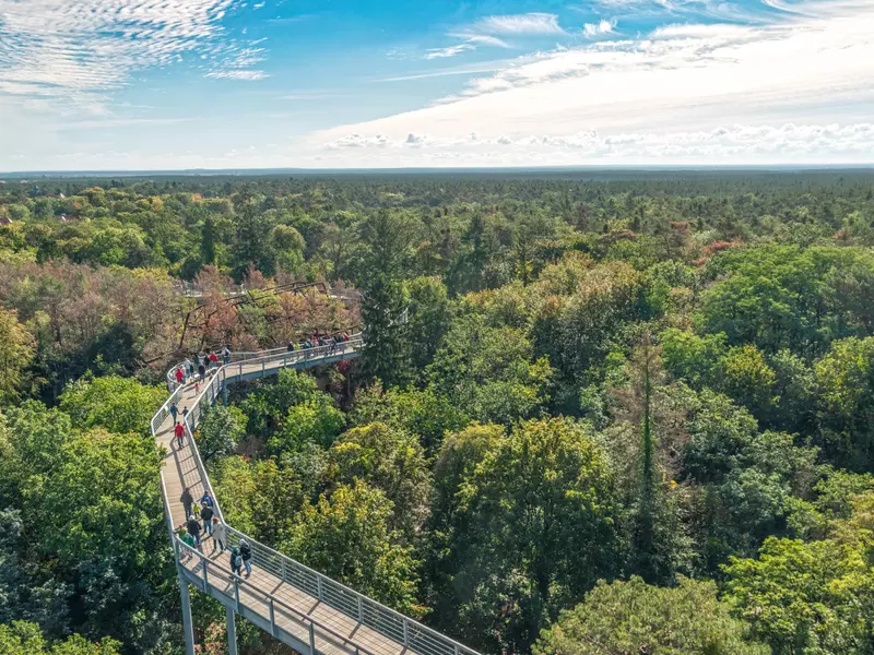 Near Beelitz you can stroll along a treetop walkway above the grounds of an abandoned sanitarium © Lichtwolke / Getty Images