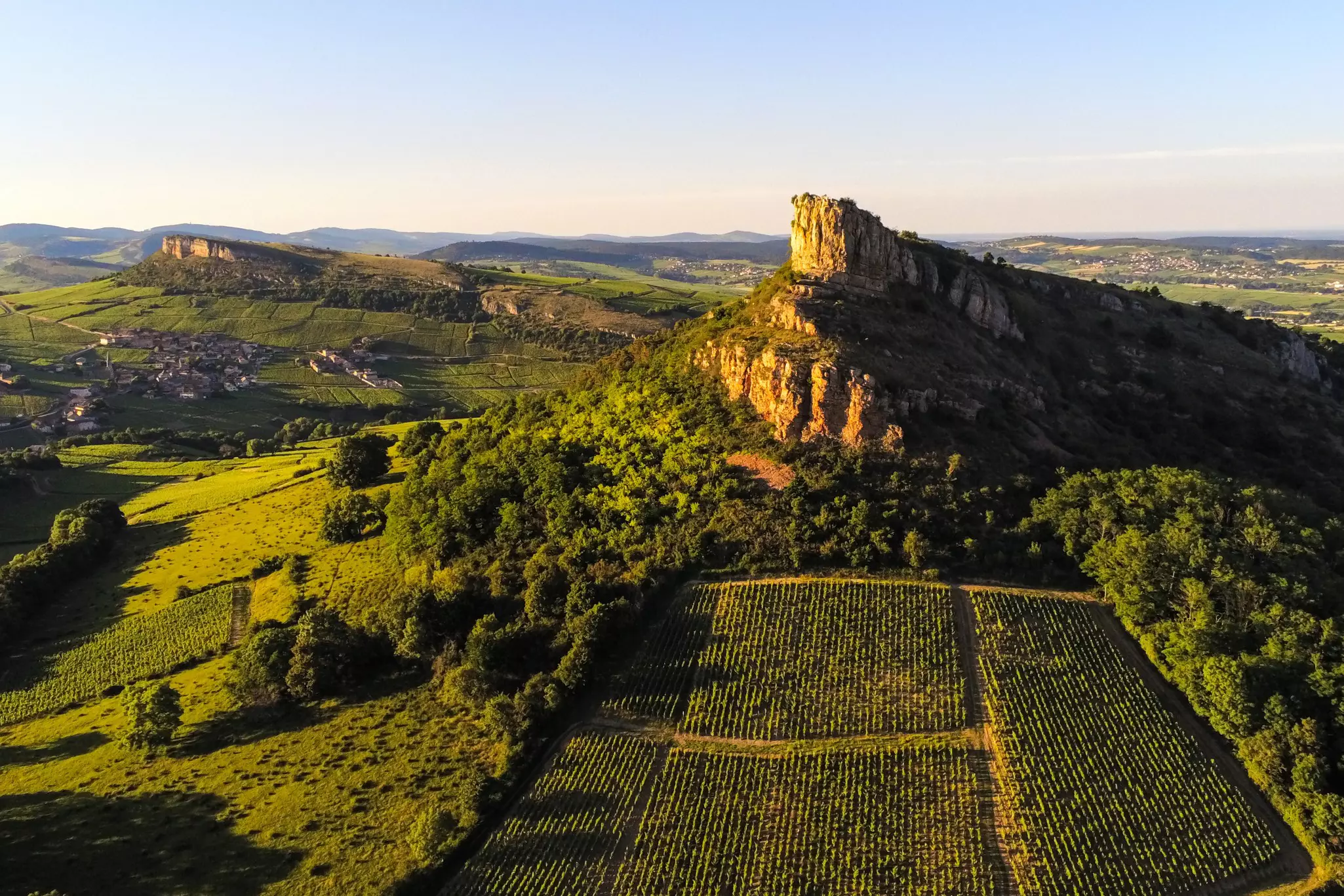 Limestone rocks protrude from fields of rolling vineyards