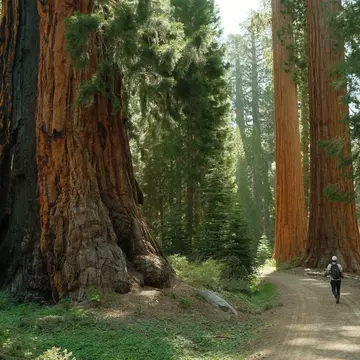 Be inspired by the USA's best natural landmarks. sarah_xie7/Shutterstock