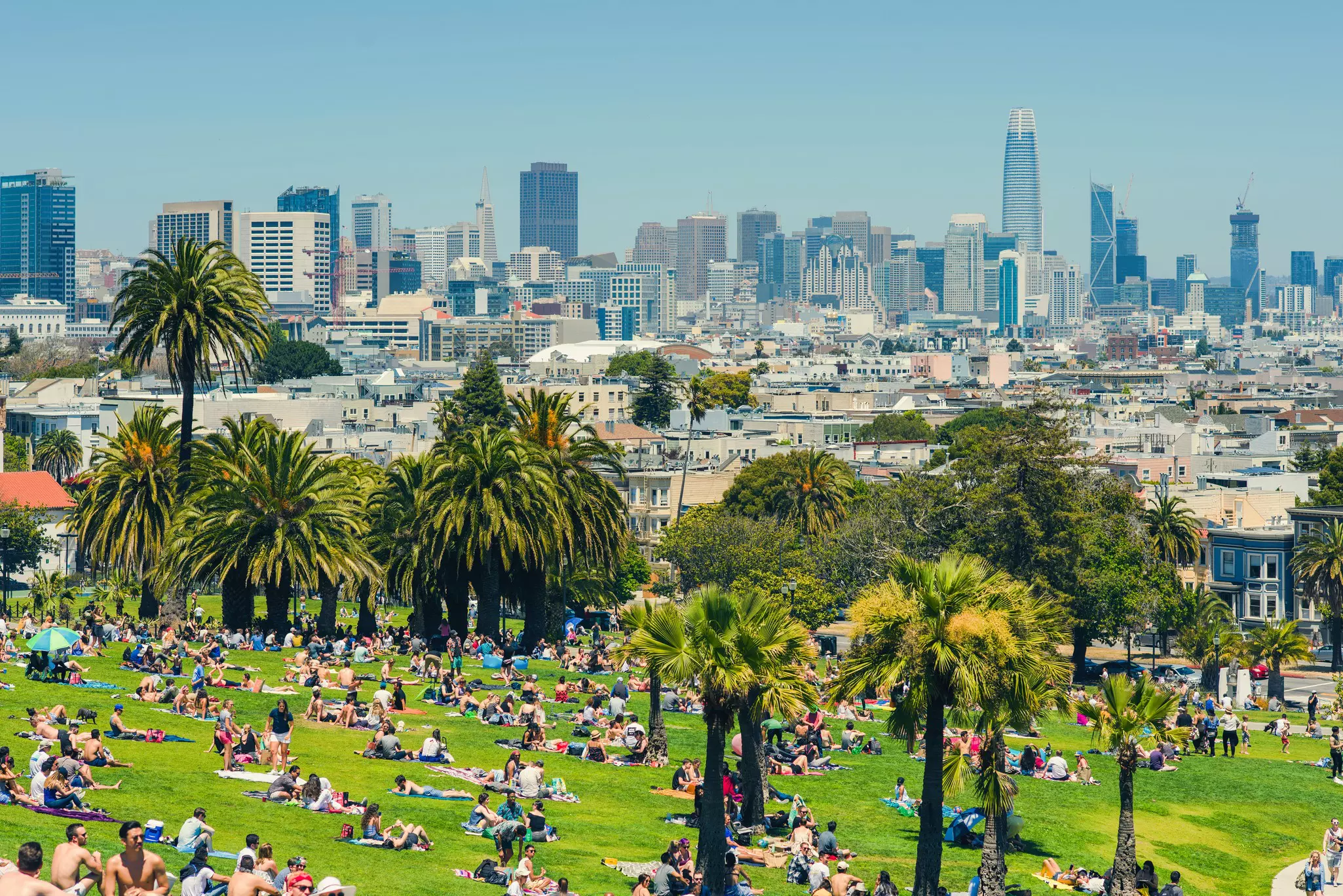 An overview shot of people lying on a lawn among palm trees in a city park. A skyline of skyscrapers is seen in the distance.