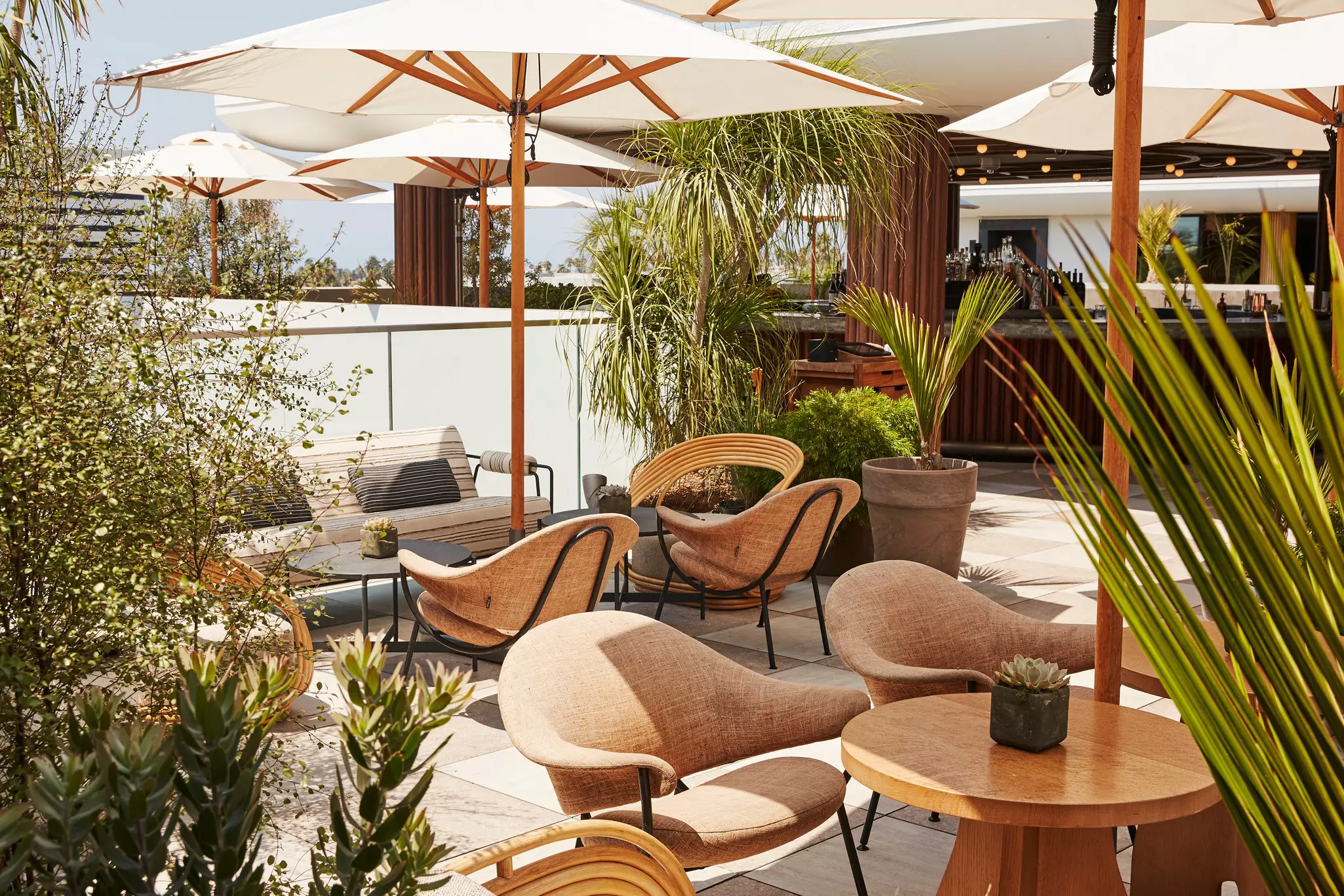 Wood tables and cushioned sand-colored chairs under umbrellas, with large green plants placed nearby