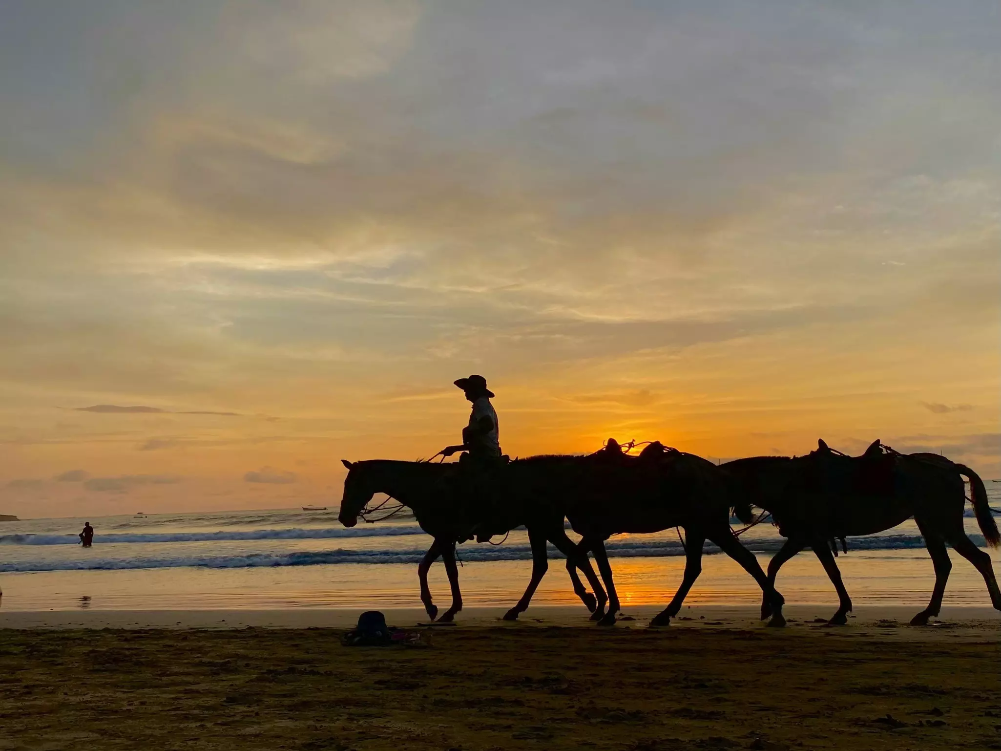 A few horses and one rider on the beach at suset in Tamarindo, Costa Rica.