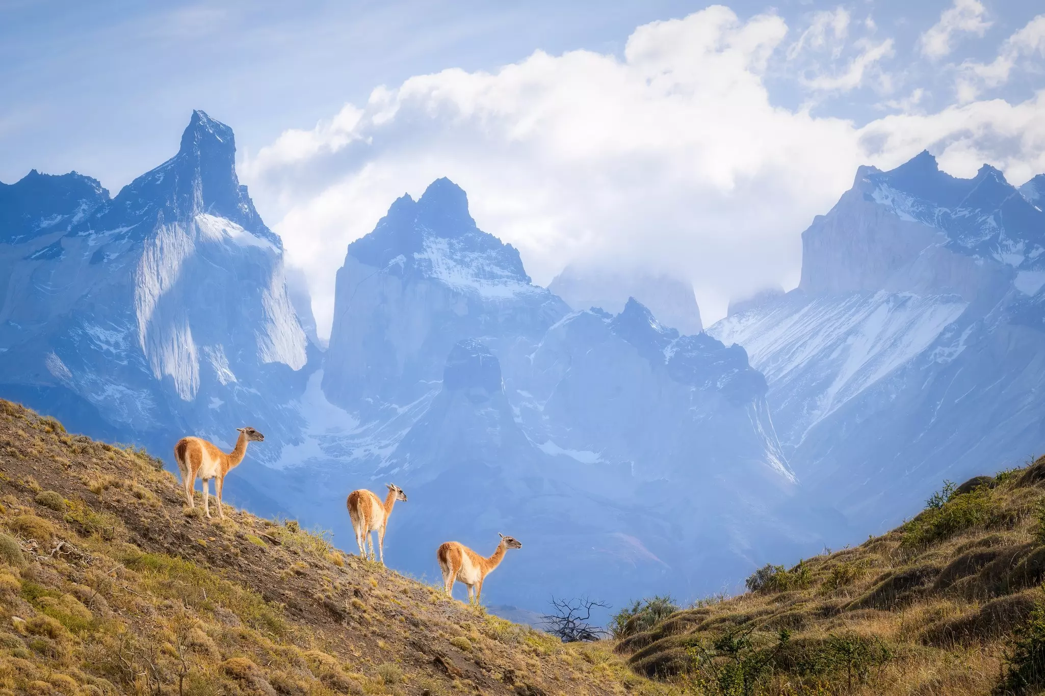 Mountain view at Torres del Paine National Park, Patagonia in Chile