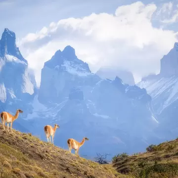 Mountain view at Torres del Paine National Park, Patagonia in Chile
