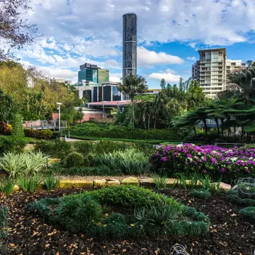 Brisbane City Botanical Gardens with skyline, Queensland, Australia.