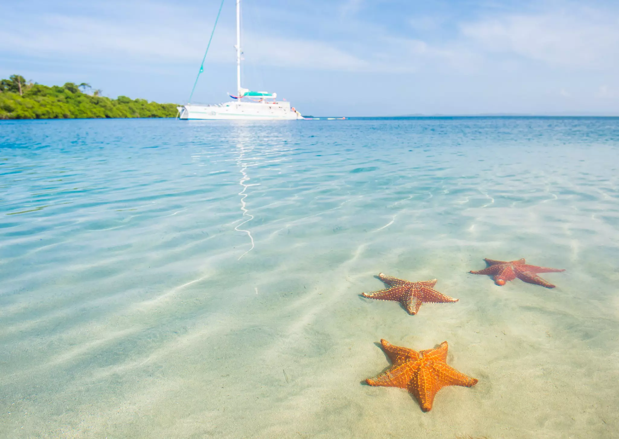 Three beautiful starfish in the sea water and white yacht on background in Bocas del Toro, Panama