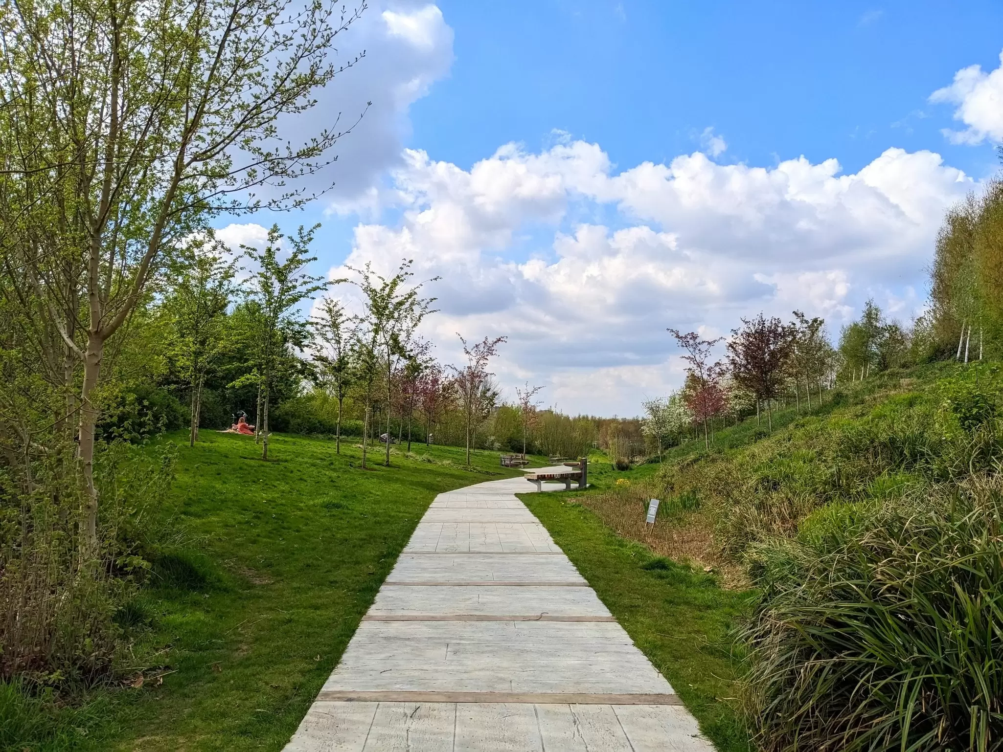 A path leading through the London Blossom Garden on a sunny spring day at the Queen Elizabeth Olympic Park in London, UK.