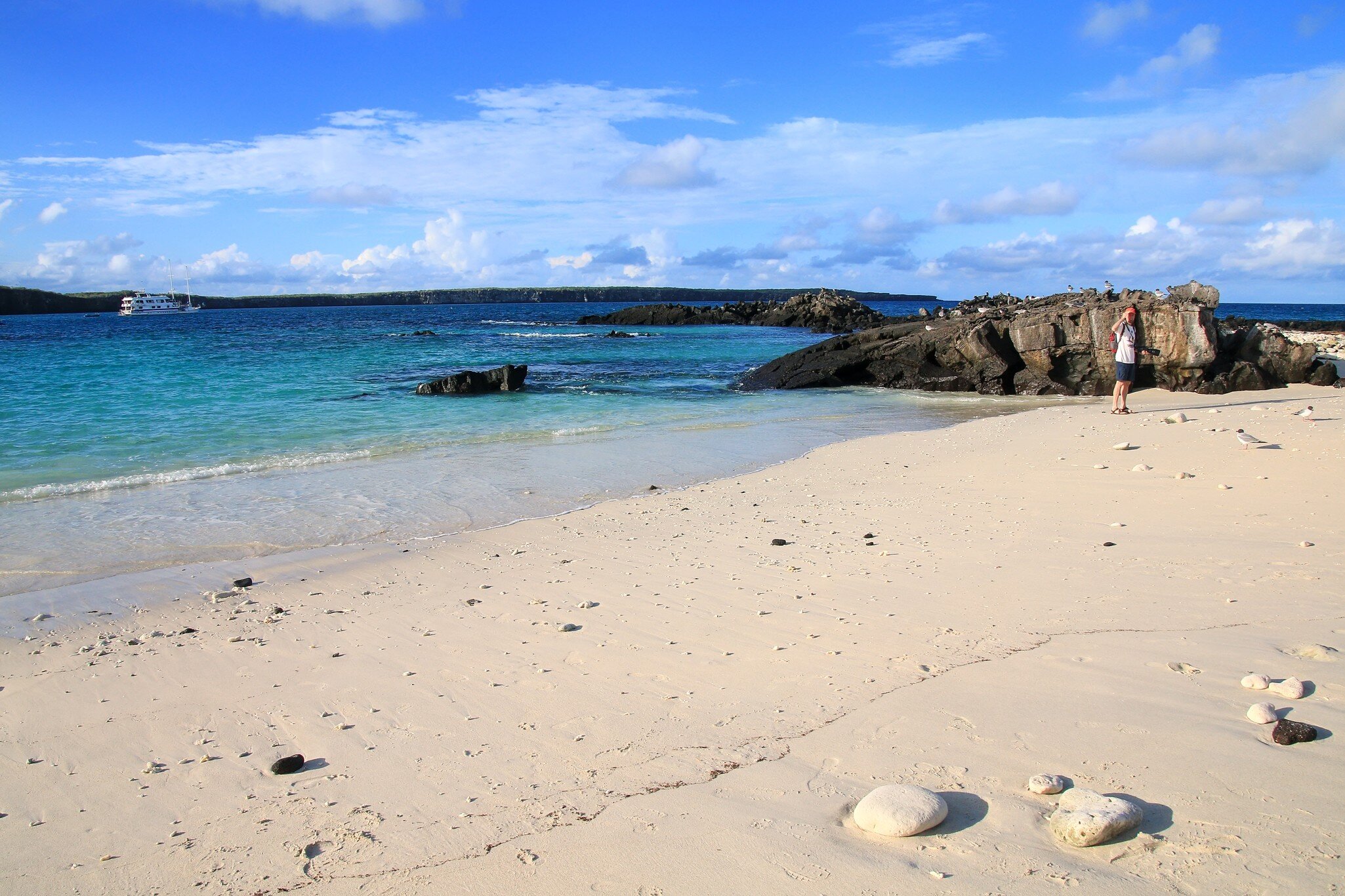 Sandy beach of Great Darwin Bay on Genovesa Island, Galapagos National Park, Ecuador