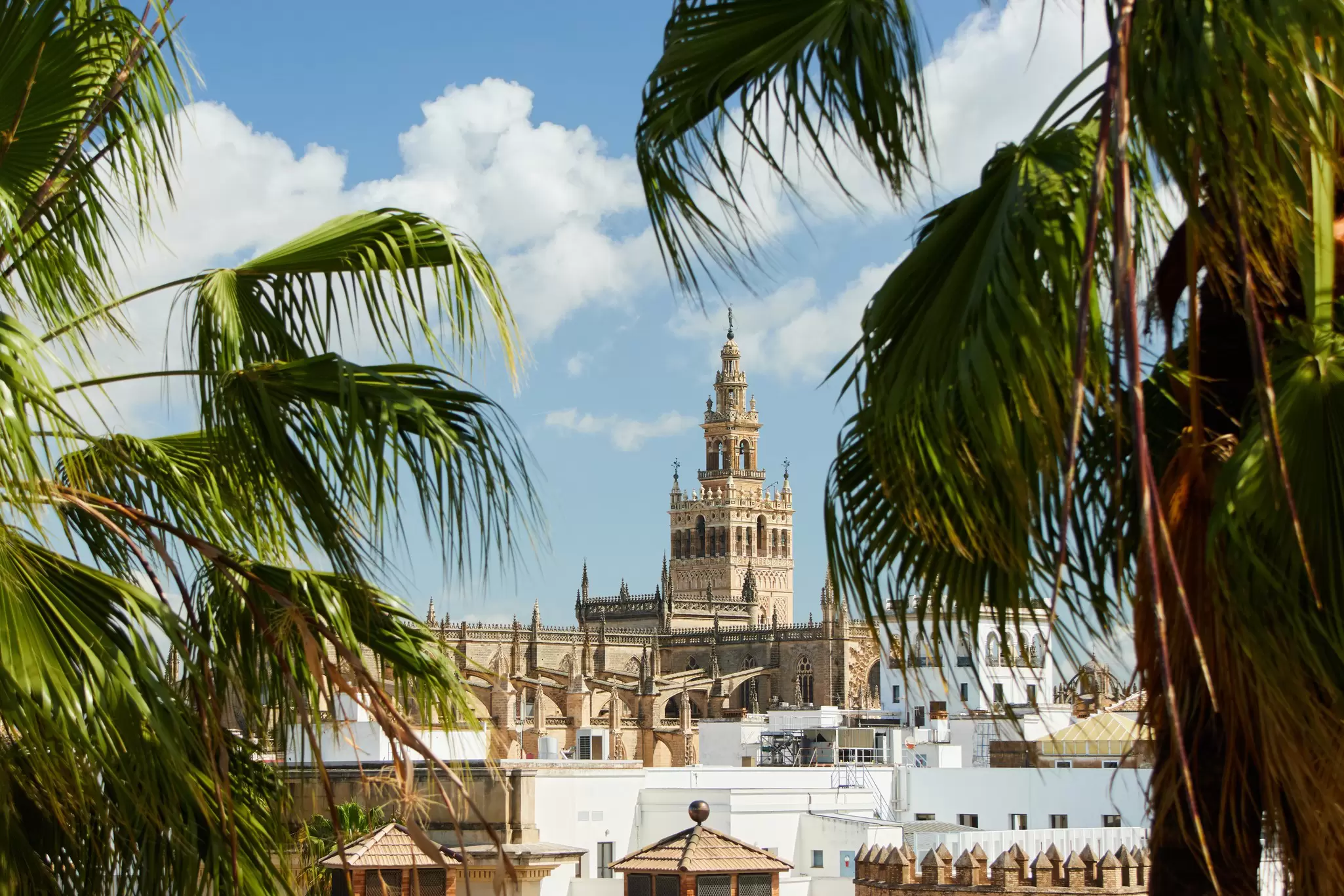 The tall bell tower of Seville Cathedral, Spain, peaks over the skyline