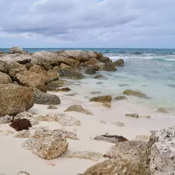 Pitted coral rocks on white sand at the edge of turquoise water under grey cloud, Blue Lagoon Island, Bahamas