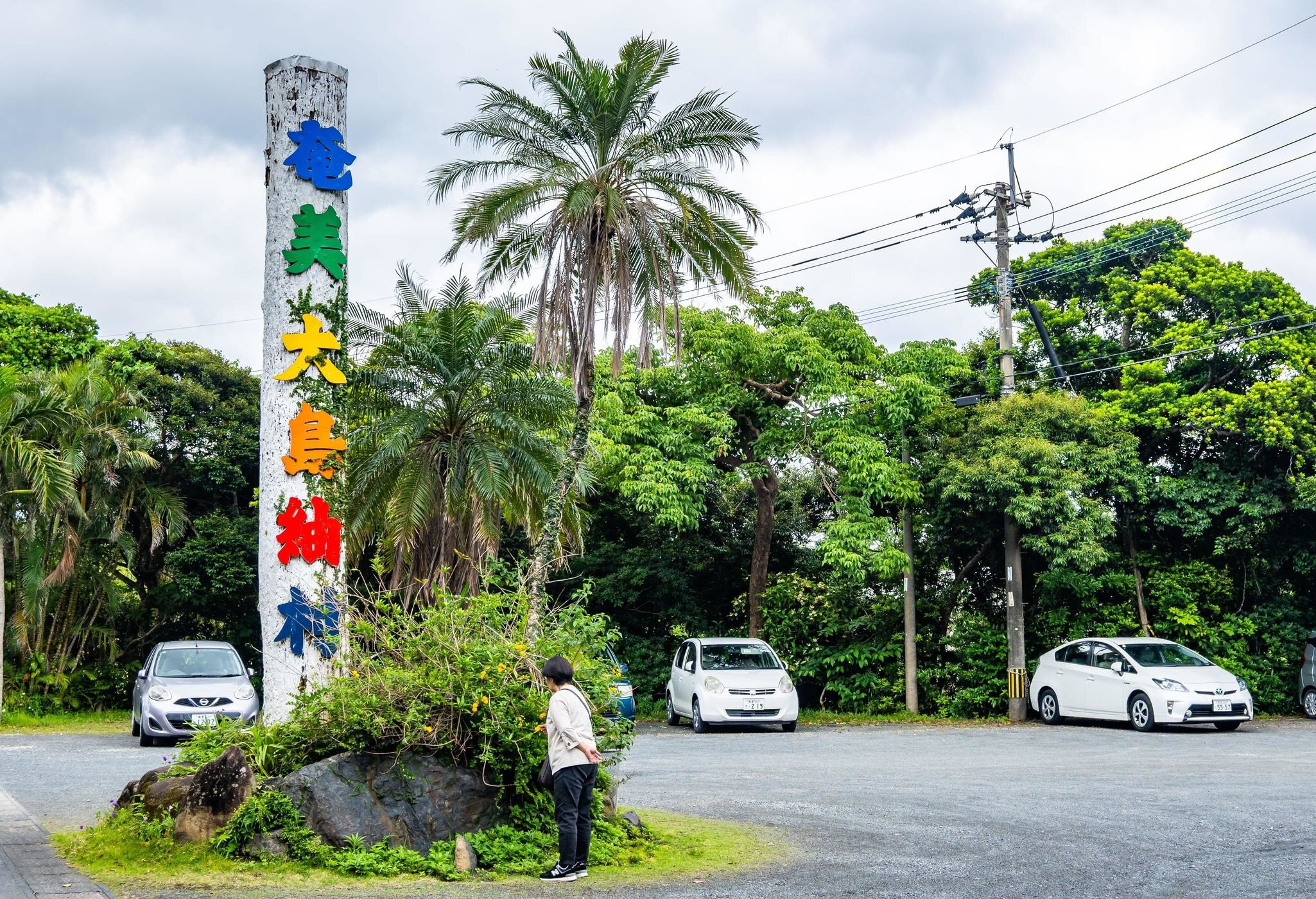 3BHEHMF Colorful sign at ?????? Tsumugi Village. Amami Oshima, Japan.
3BHEHMF
Japan, Japanese, Tsumugi, Village, Amami, sign, island, Asia, Asian, travel, nature, landscape, Oshima, ??, ????
**RIGHTS MANAGED** Uploaded for use on the LP APP

Colorful sign at 奄美大島紬村 Tsumugi Village. Amami Oshima, Japan.