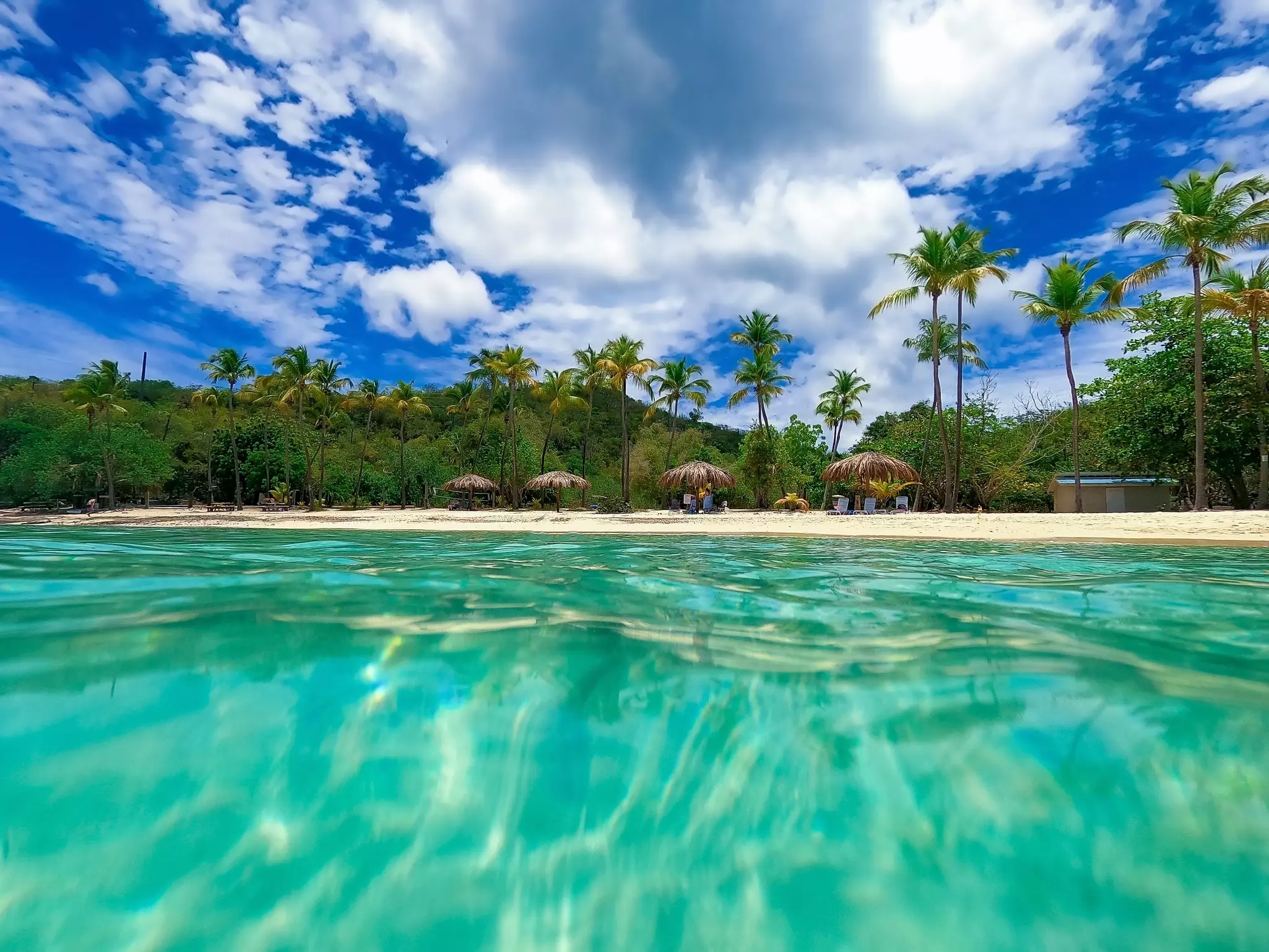 Blue ocean lapping at the palm tree-lined shore of a sandy beach with thatched huts.
