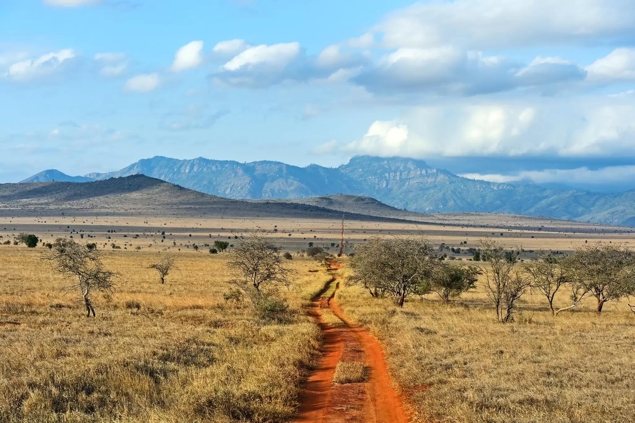 The plains of Tsavo. kyslynskahal/Shutterstock