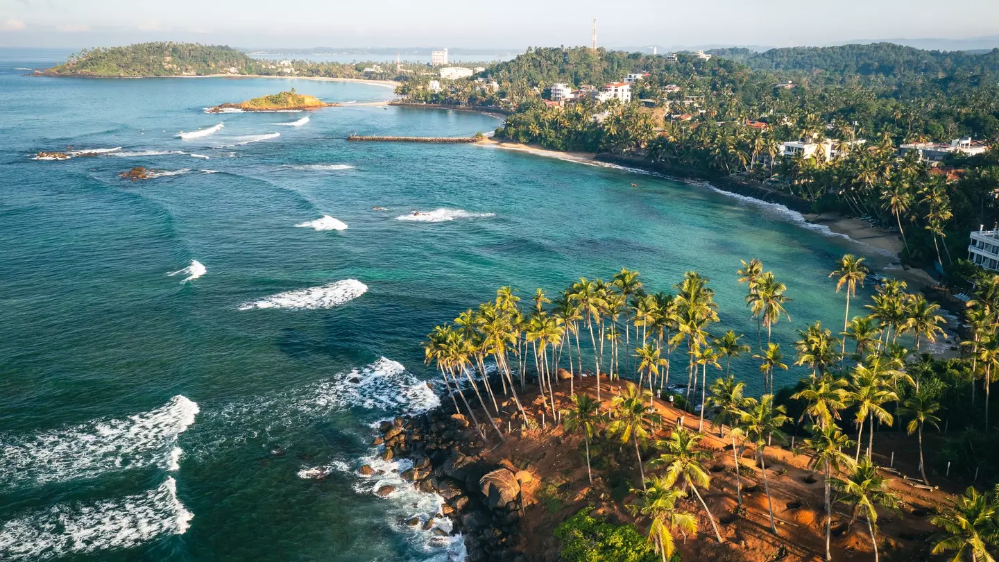Blue-green waters ripple on a coast lined with buildings and palm trees