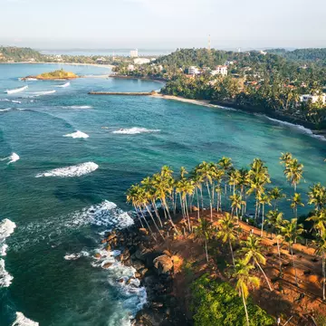 Blue-green waters ripple on a coast lined with buildings and palm trees