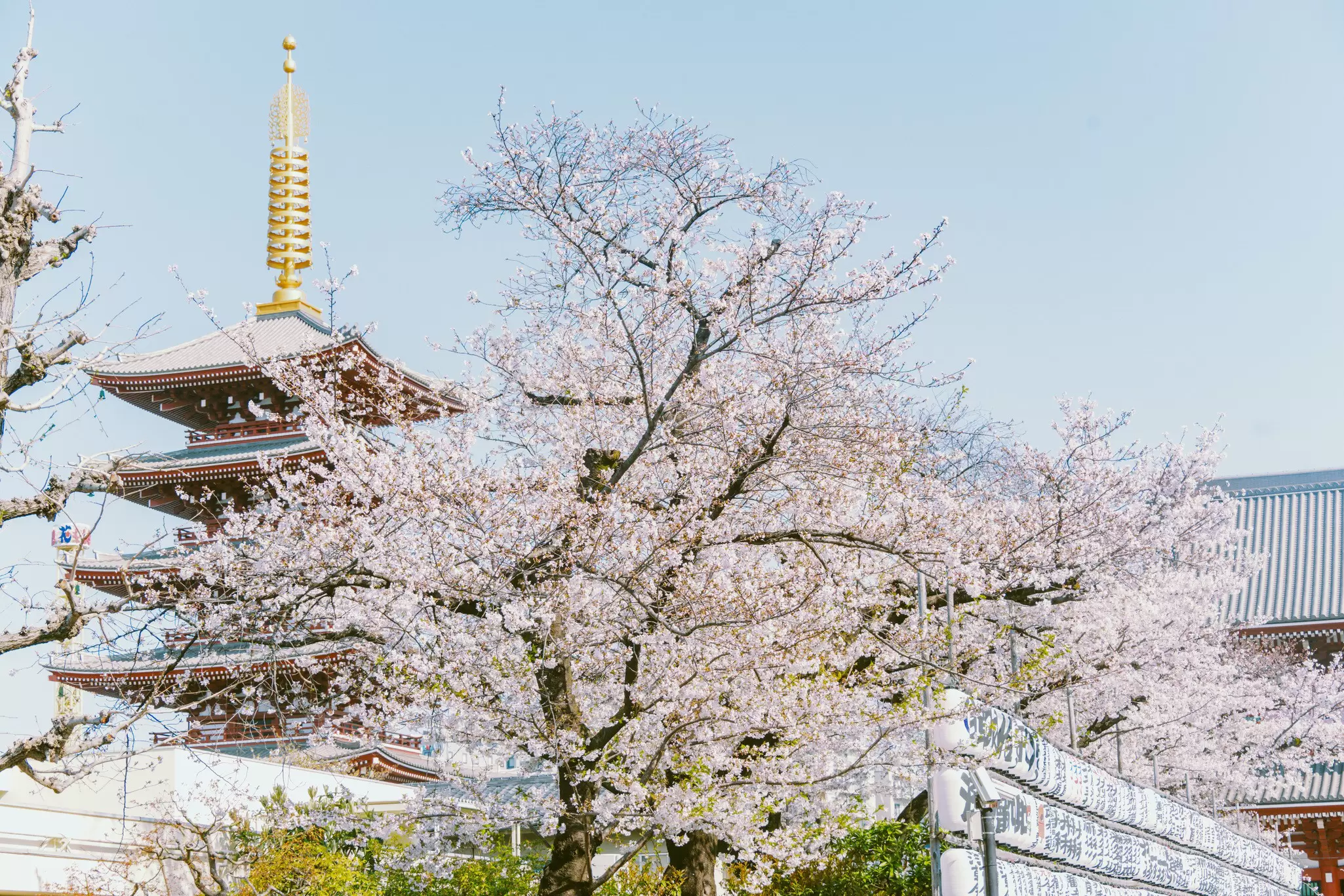 Asakusa, Sensoji Temple, Five-Storied Pagoda.