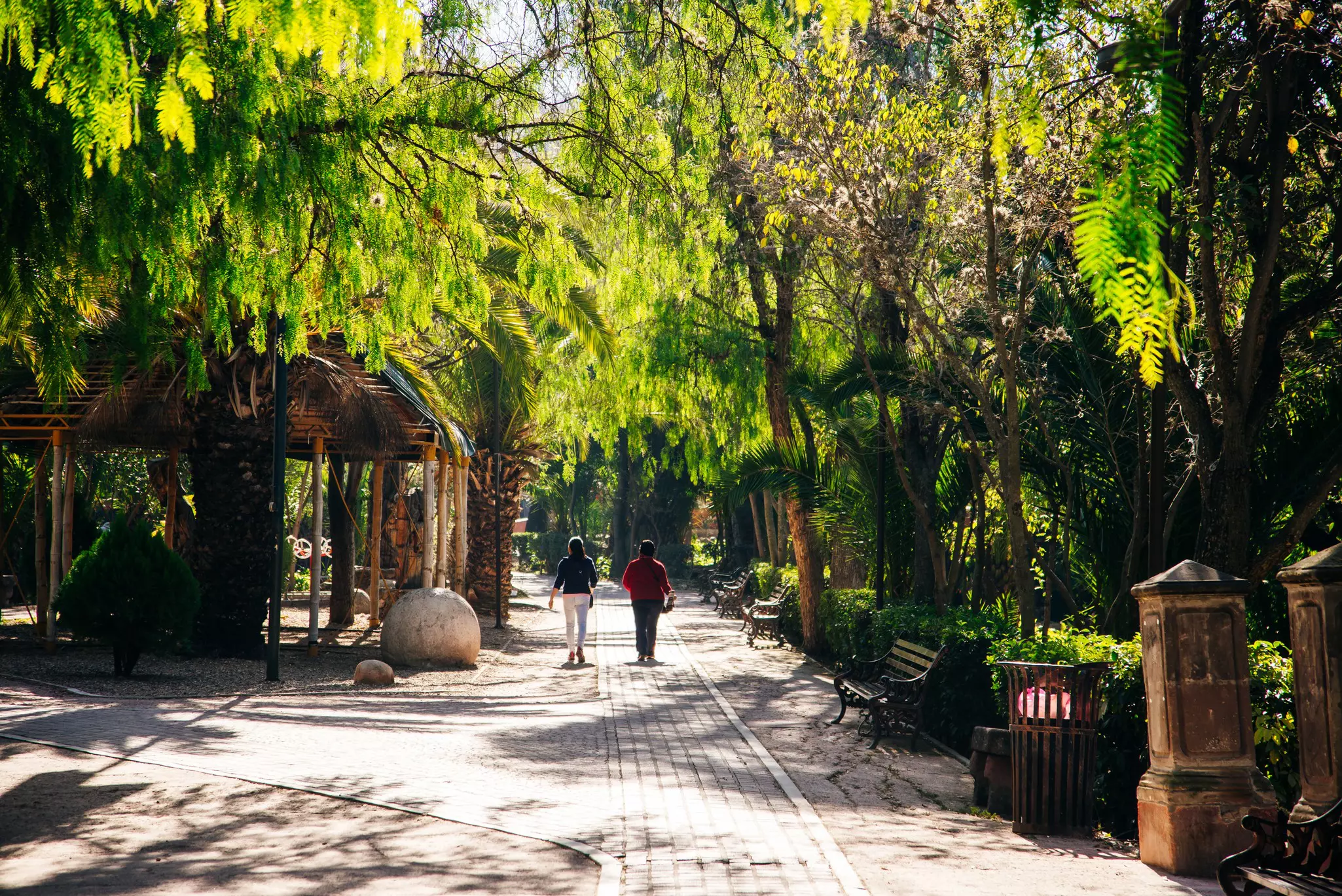 Two people walk under trees on a pathway through a park dappled with shade.