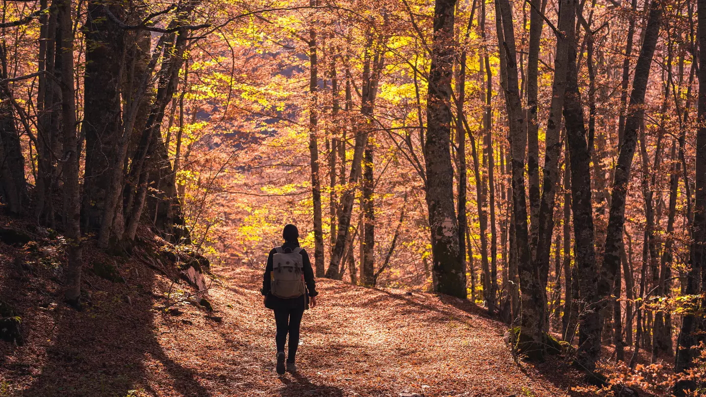 Experience one of Europe's rewilding projects in Italy's Abruzzo National Park © Francesco Riccardo Iacomino / Getty Images