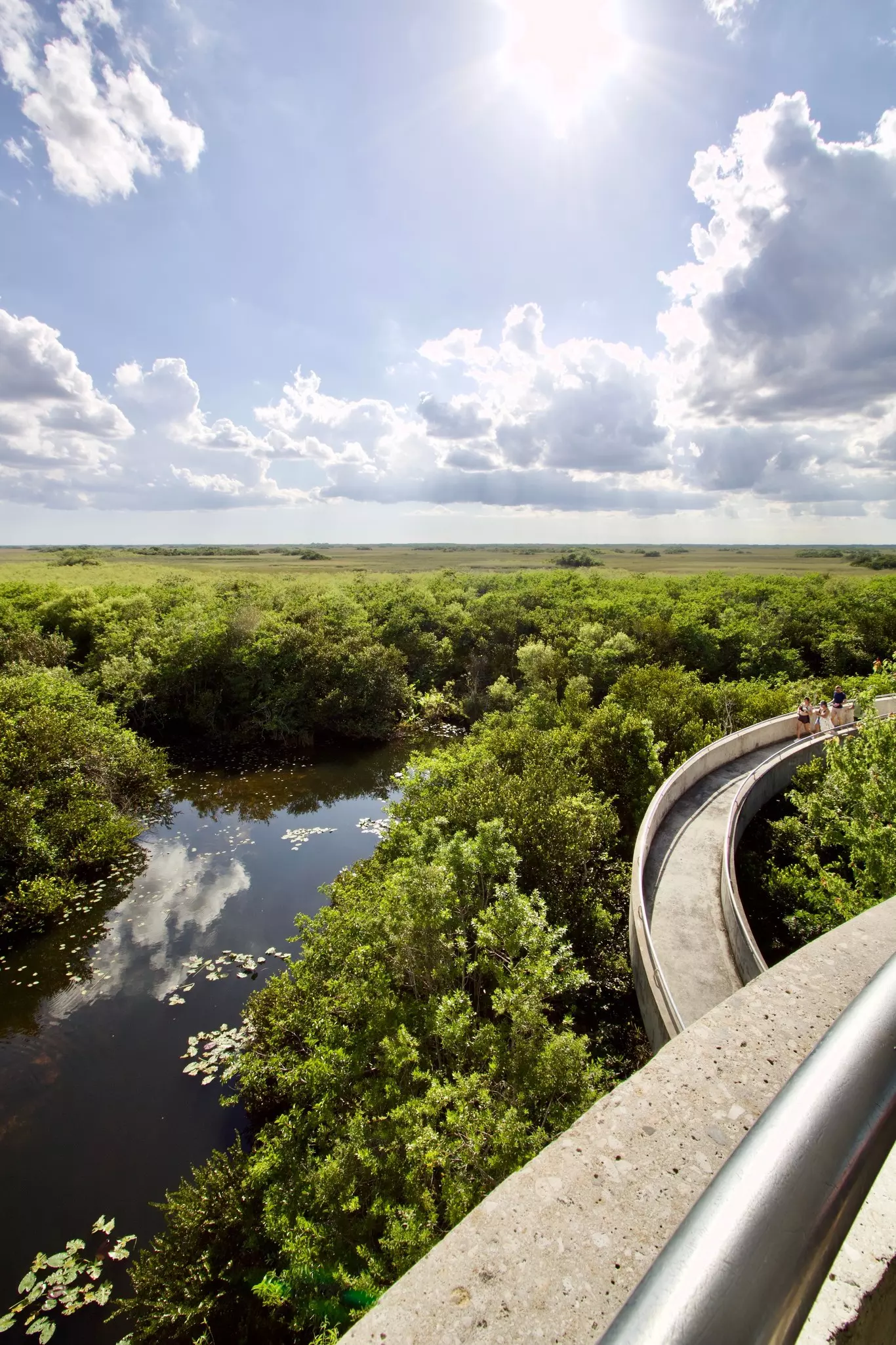 Overhead view of Everglades