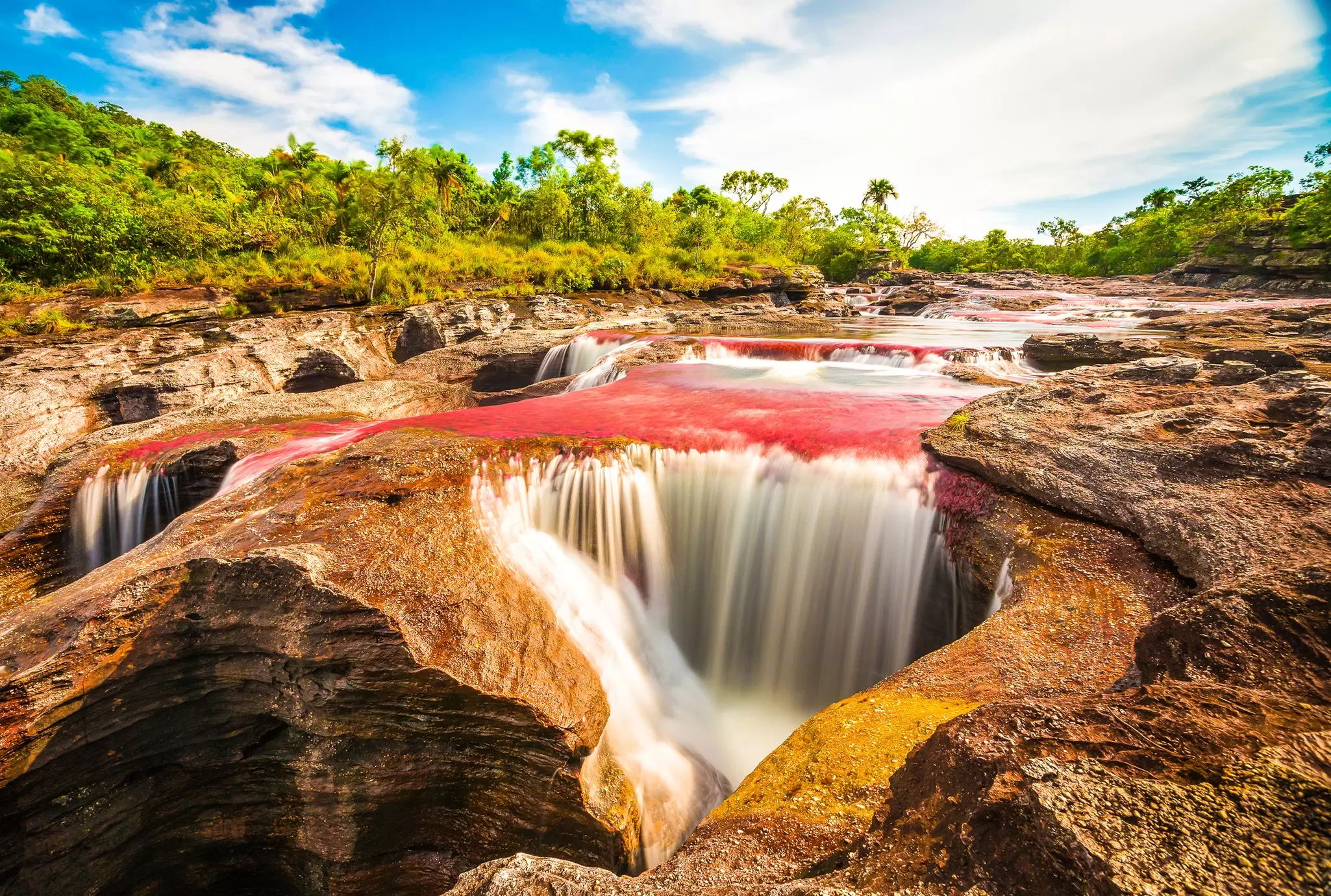 Multicolored river in Colombia, Cano Cristales. VarnaK / Shutterstock
