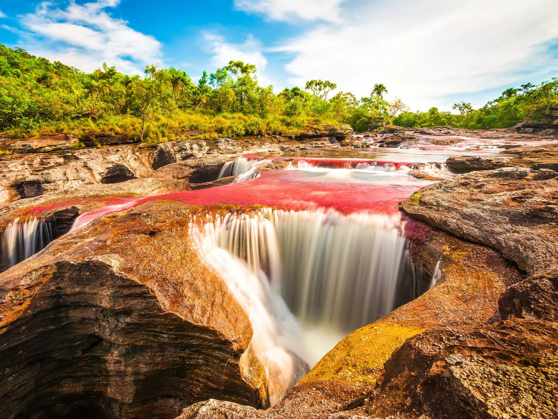 Multicolored river in Colombia, Cano Cristales. VarnaK / Shutterstock