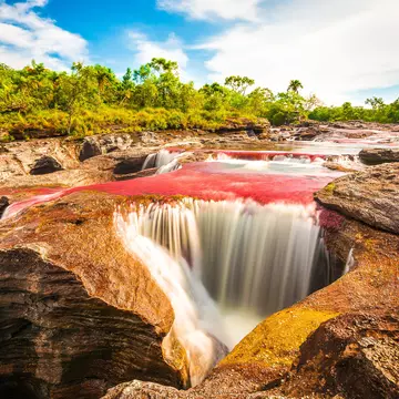 Multicolored river in Colombia, Cano Cristales. VarnaK / Shutterstock