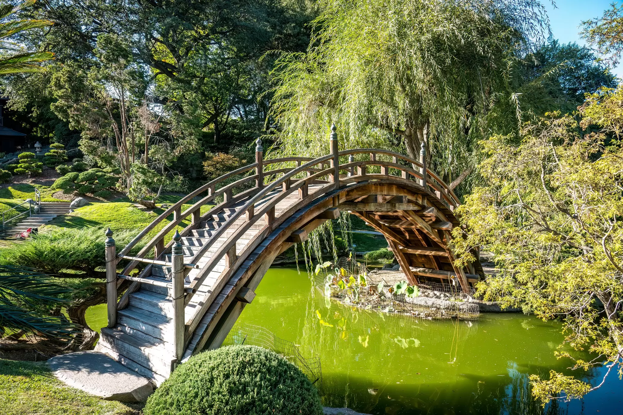 Denoise, Enhanced
Pasadena California; For Visit Pasadena custom sponsored article. Photos from Visit Pasadena