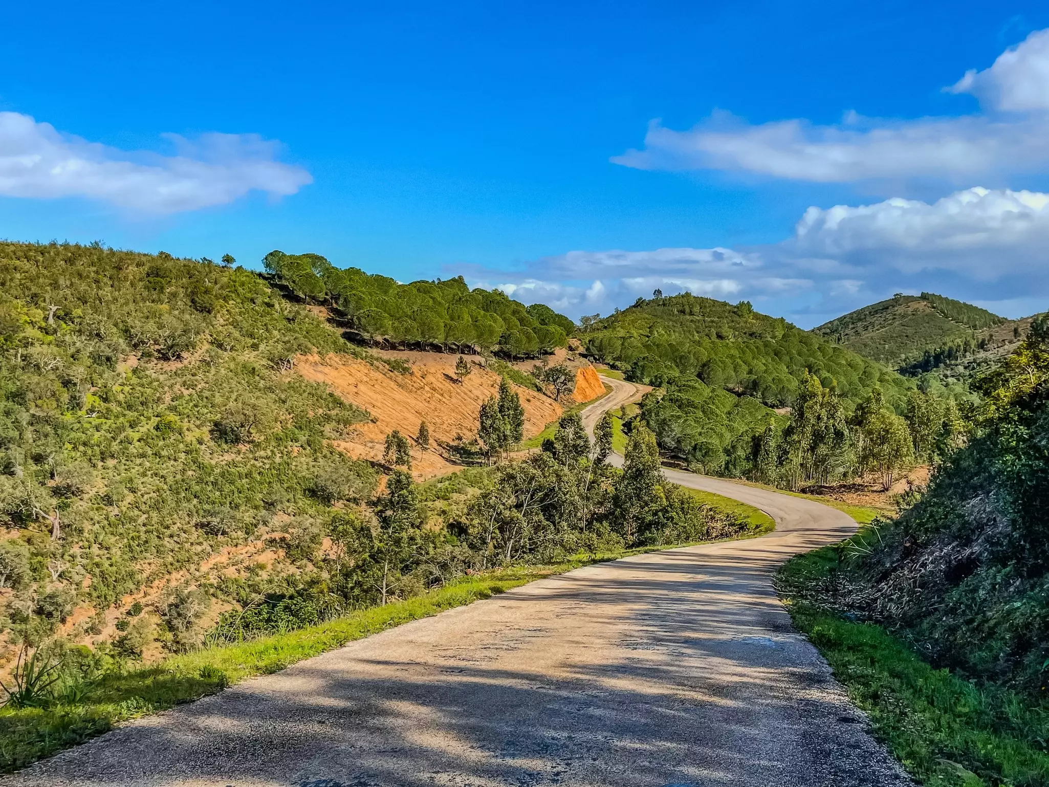 Mountain road in Serra de Monchique.