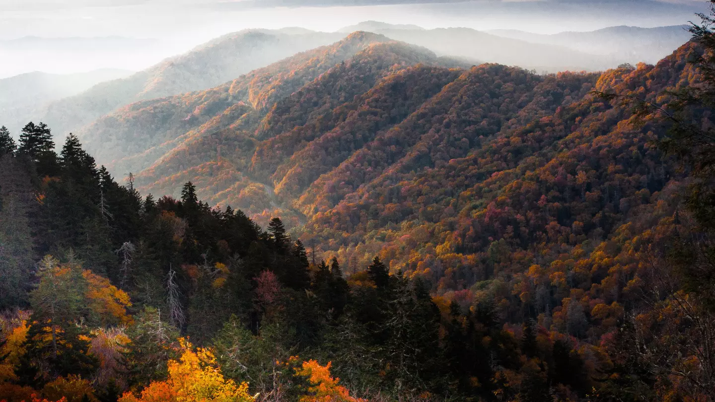 A view of the sun rising between mountains in the Smoky Mountains, USA. The mountains are covered in thick forest.