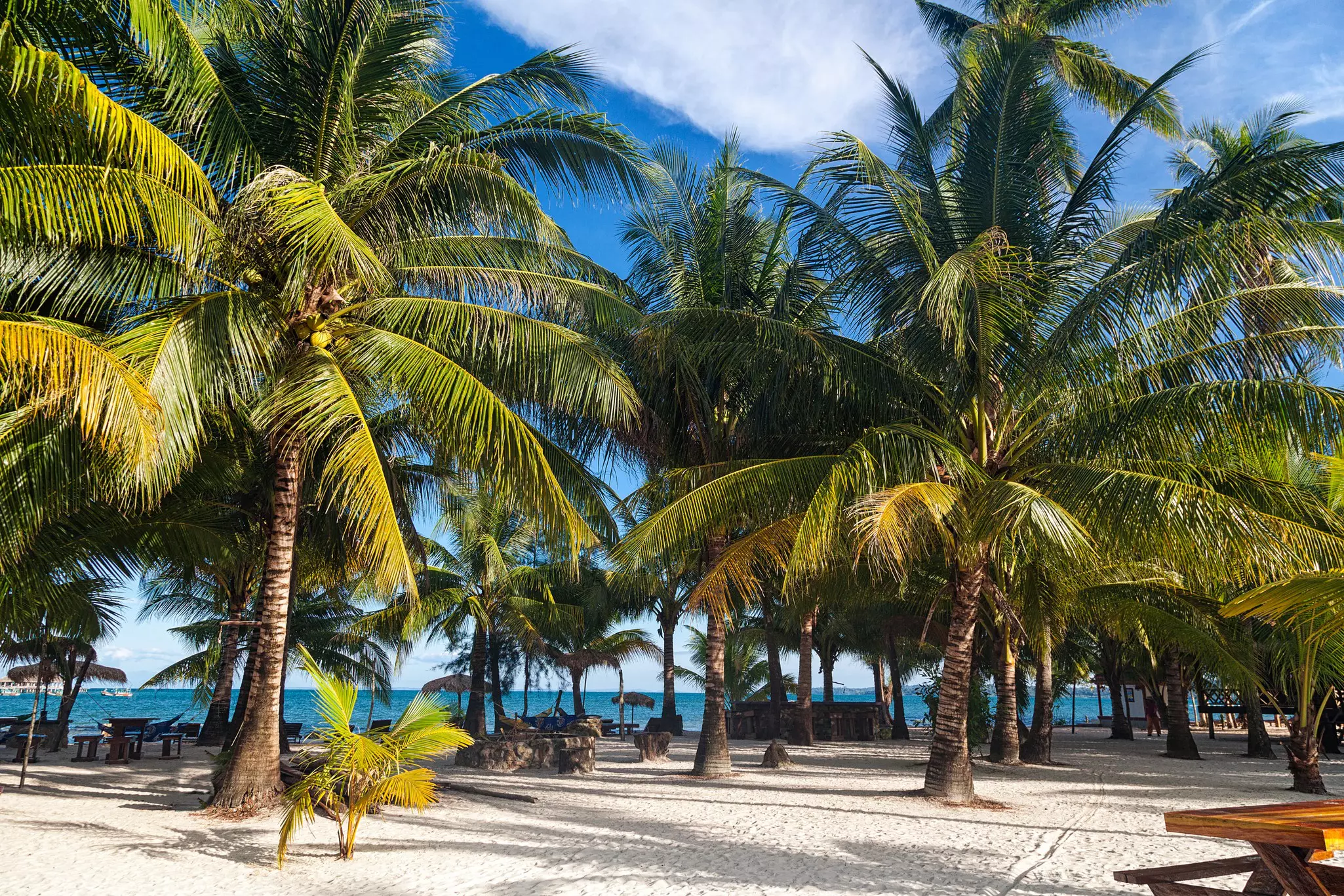 A white sand beach with coconut palm trees in Cambodia; there are hammocks, tables and other structures under the trees.