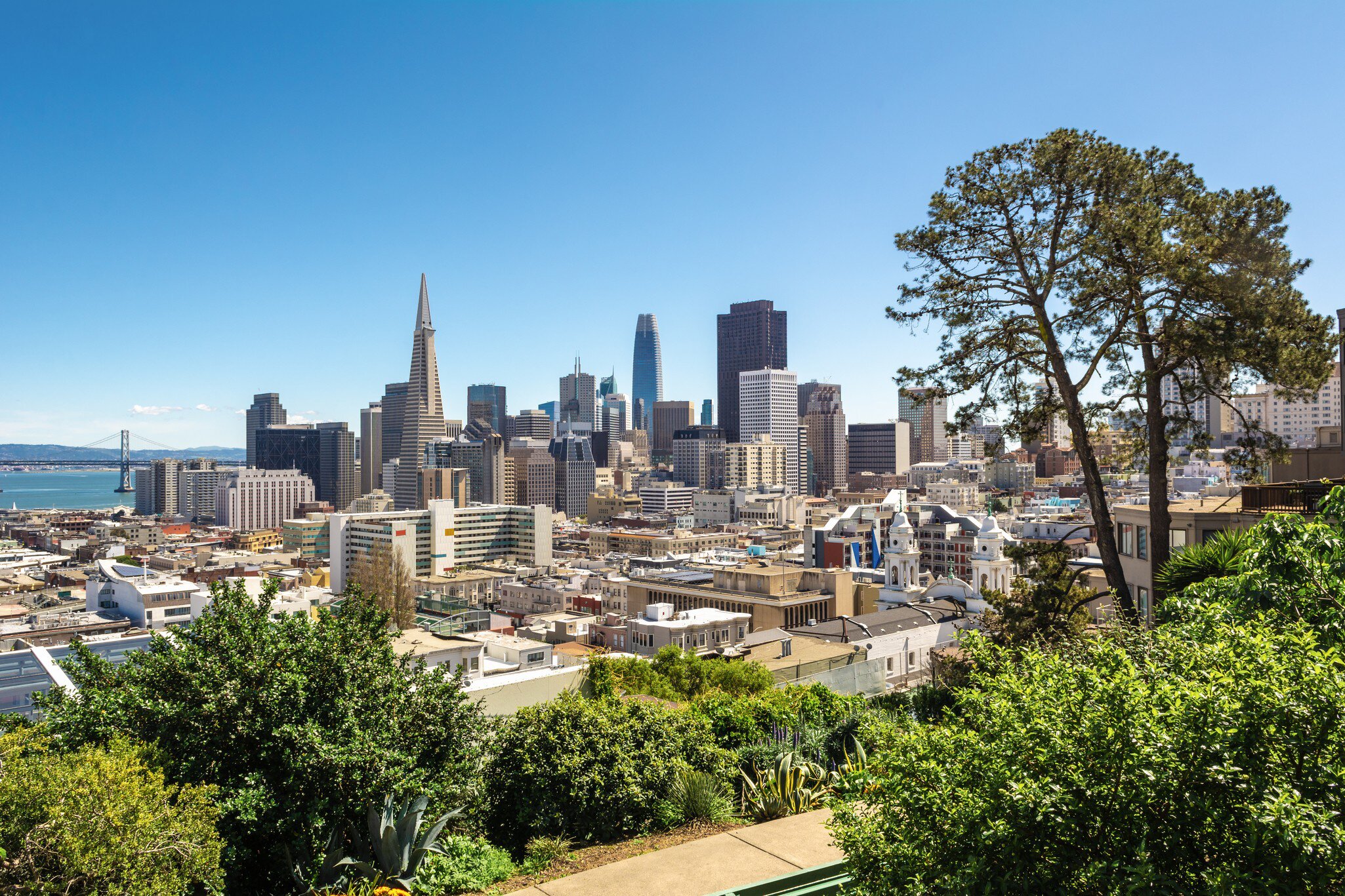 A view downtown San Francisco from Ina Coolbrith Park, Russian Hill District, San Francisco, California.