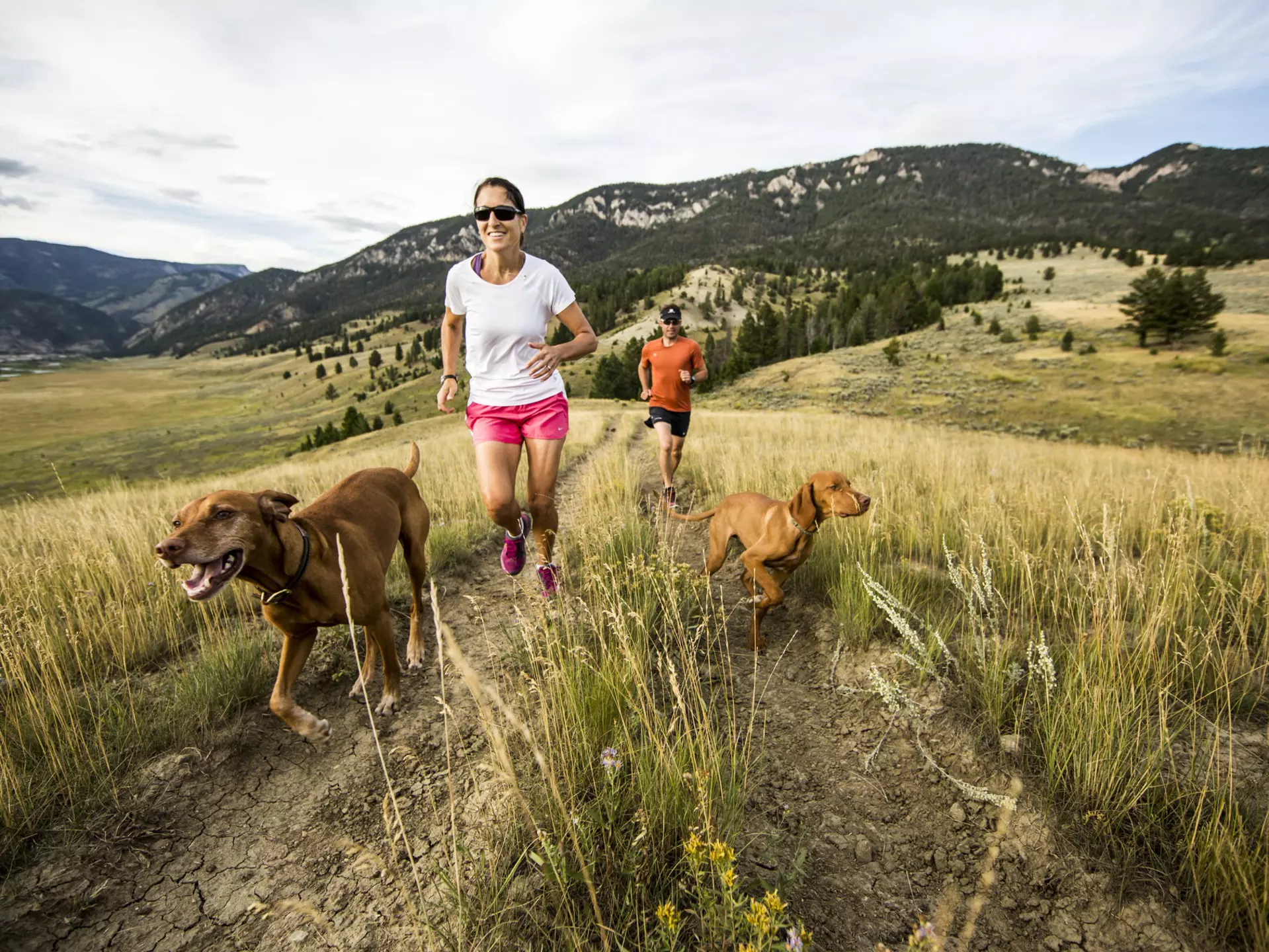 Couple trail running with two dogs on Montana hillside near Bozeman
531132727
Trail running, exercise, fitness, healthy, active