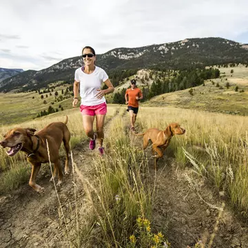 Couple trail running with two dogs on Montana hillside near Bozeman
531132727
Trail running, exercise, fitness, healthy, active