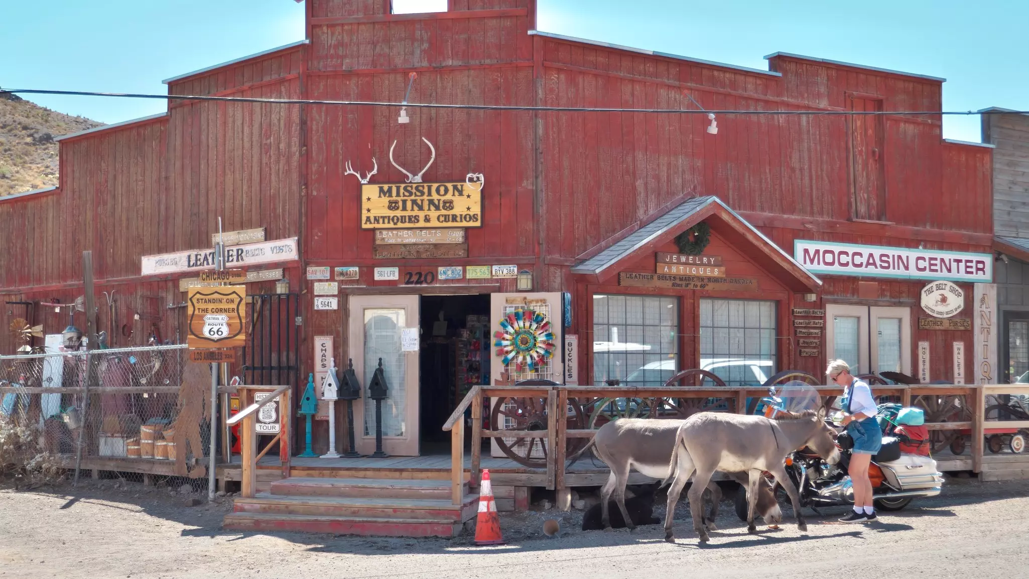 The Shoe Store and the Lady Who Takes Care of the Donkeys.