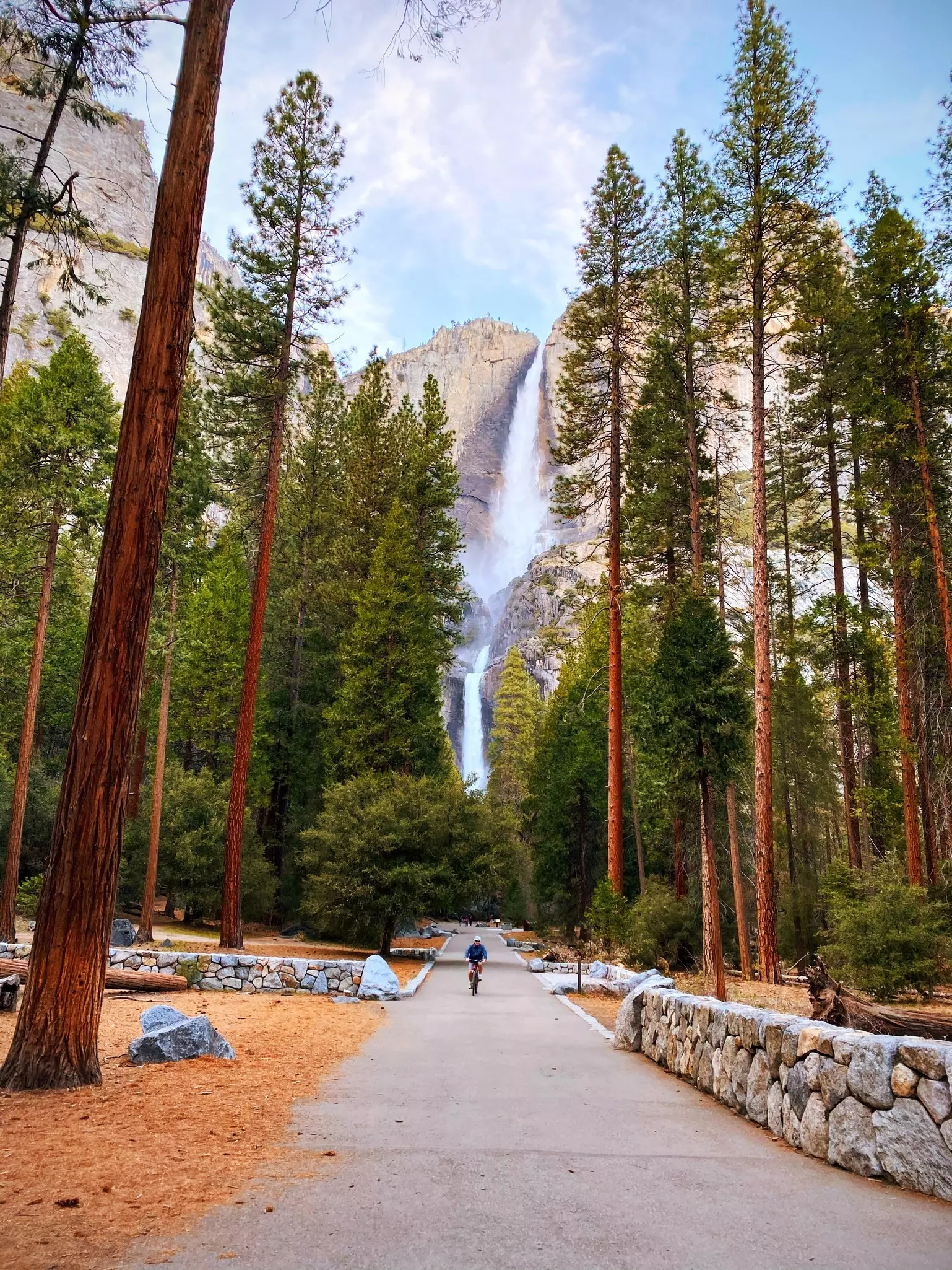 A cyclist on a bike trail through woodland with a vast waterfall cascading in the distance.