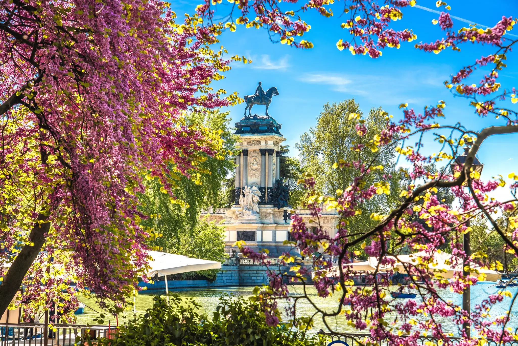 An equestrian statue in a city park is framed by blossoming trees.