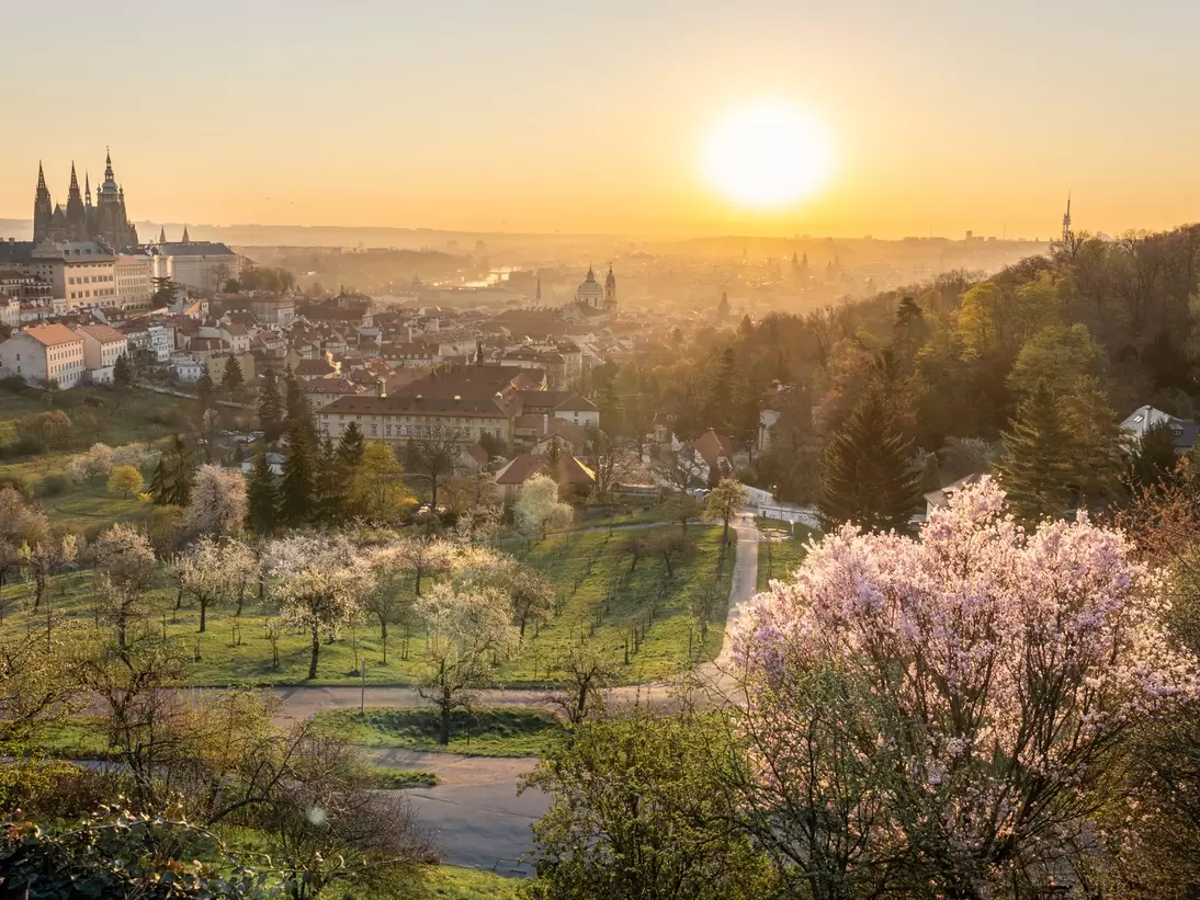 Scenic view of Prague tiled roofs during sunrise in spring. Towers of St Vitus and St. Nicholas church seen from Petrin hill viewpoint. Romantic golden sun glow in morning and blooming trees in a park, License Type: media, Download Time: 2025-02-18T13:53:55.000Z, User: comptonsheldon109, Editorial: false, purchase_order: 56530 - Guidebooks, job: Global Publishing WIP, client: Prague & Czechia 14, other: Compton Sheldon