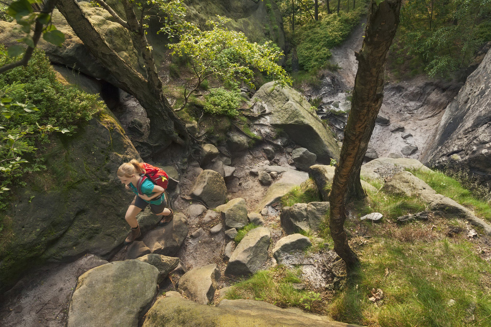 Young woman hiking through a forest, Saxon Switzerland National Park, Saxony, Germany