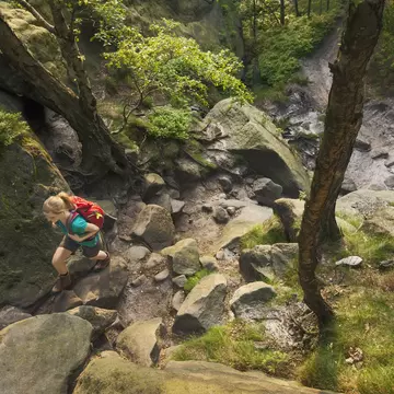 Young woman hiking through a forest, Saxon Switzerland National Park, Saxony, Germany