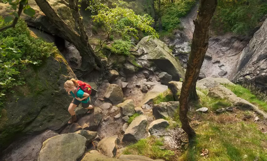 Young woman hiking through a forest, Saxon Switzerland National Park, Saxony, Germany