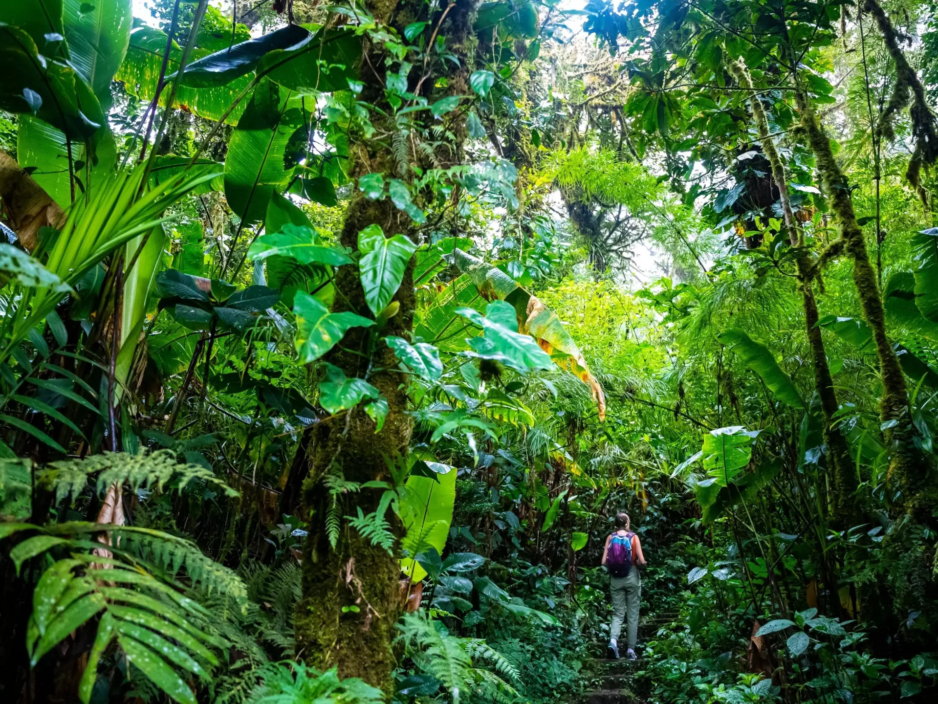 Costa Rica's diverse landscapes offer something to every hiker. Jakub Maculewicz/Shutterstock