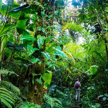 Costa Rica's diverse landscapes offer something to every hiker. Jakub Maculewicz/Shutterstock