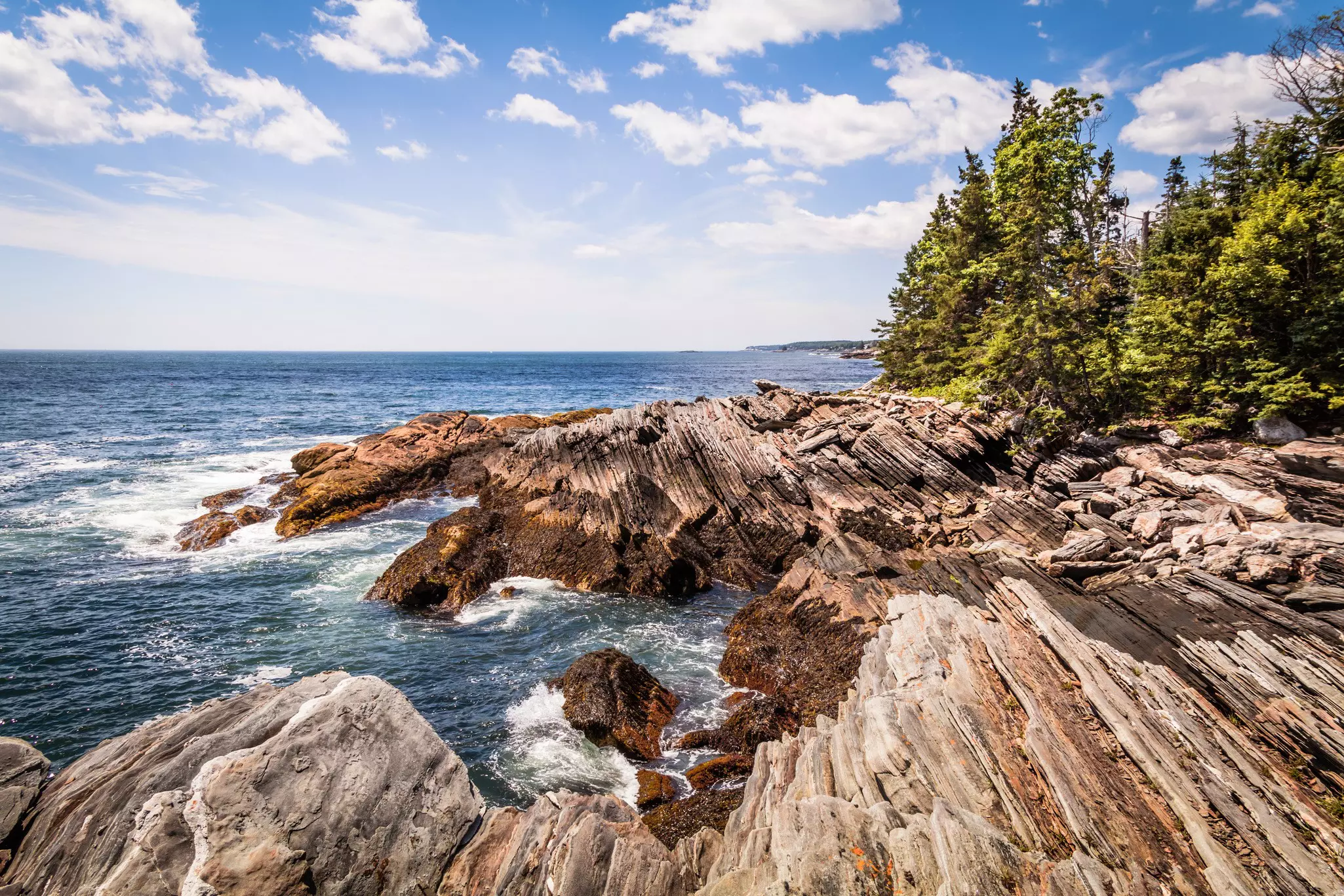 A rocky shoreline is lined with trees.