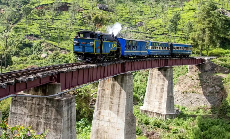 Blue steam locomotive and carriages of the Nilgiri Mountain Railway crossing a viaduct through tea plantations near Ooty