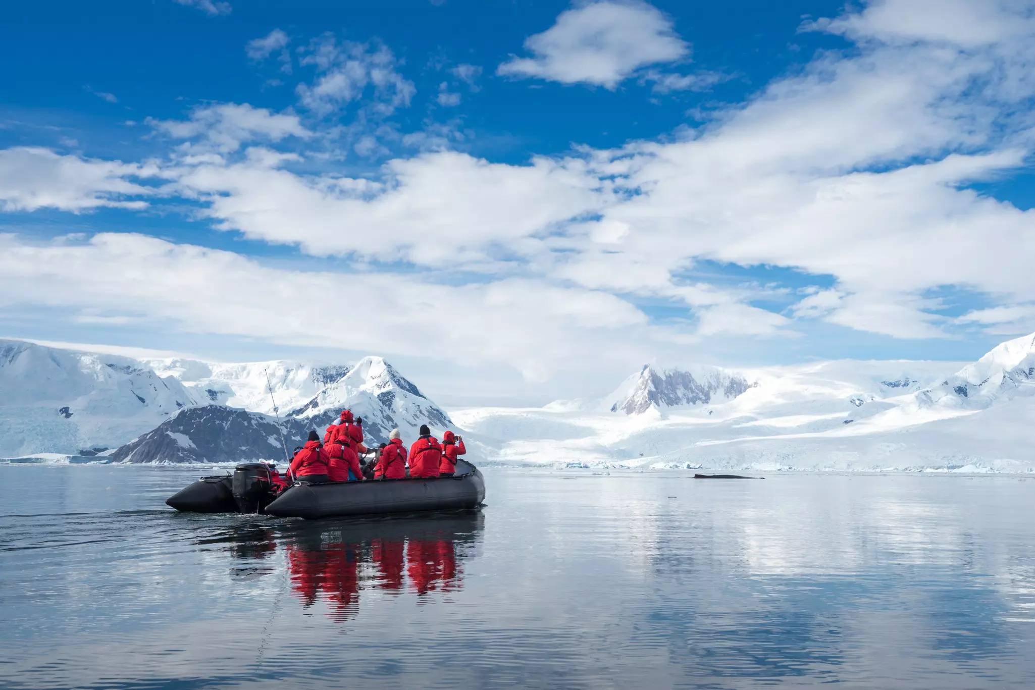 Inflatable boat full of tourists, watching for whales and seals, Antarctic Peninsula, Antarctica