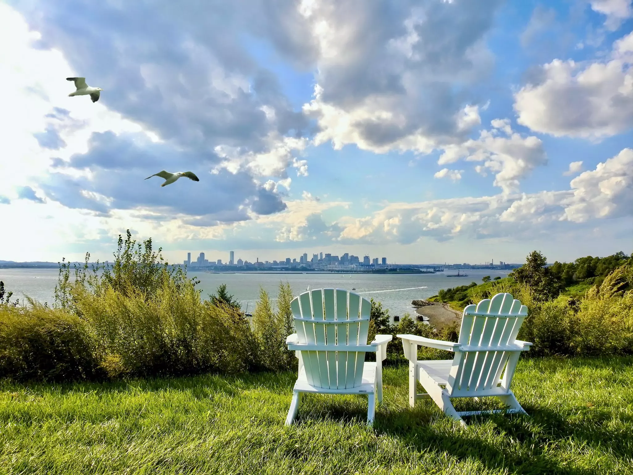 Birds soar above Spectacle Island, Boston harbor © Getty Images/iStockphoto