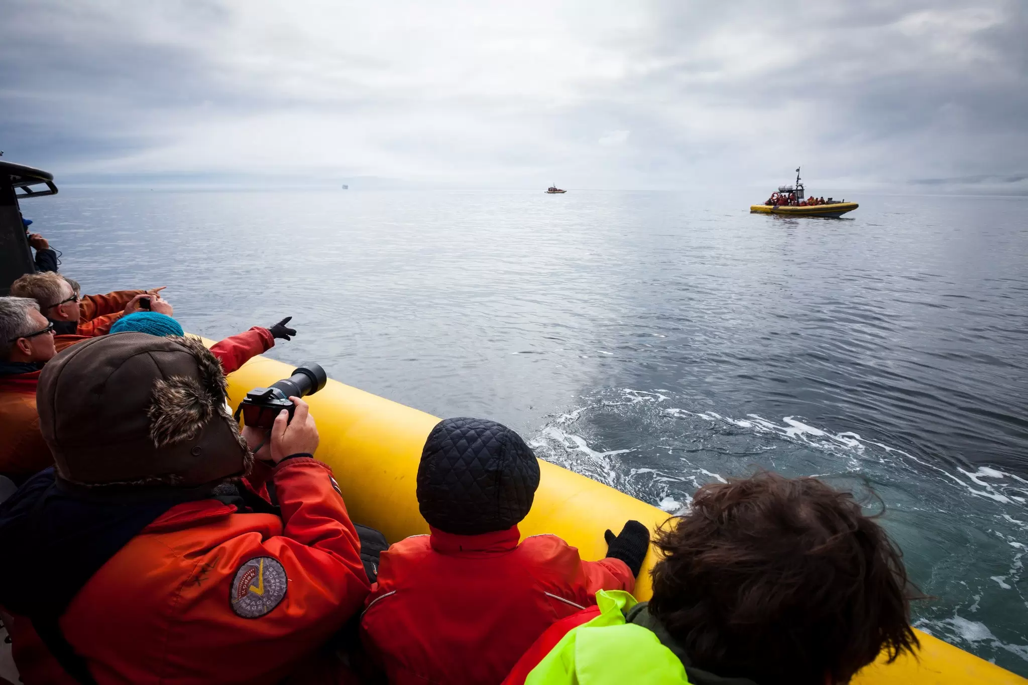 People on a yellow zodiac boat taking pictures of a whale breeching the surface of the water